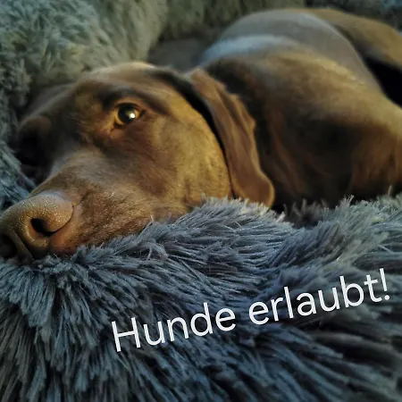 Apartment Blockhausen Schwarzenberg am Bohmerwald